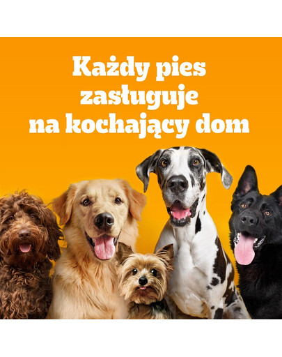 PEDIGREE Adult MINI 12x500 g ar vistas gaļu un dārzeņiem sausa pilnvērtīga barība pieaugušiem mazo šķirņu suņiem