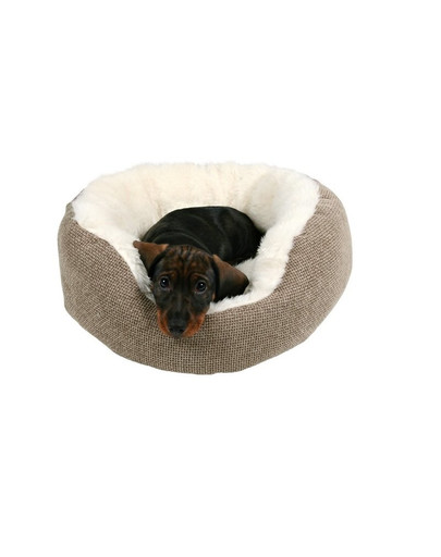 Trixie guolis Yuma 55 cm rudas-baltas