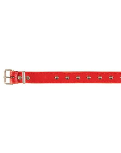Trixie Basic antkaklis su kniedėmis ( L )  46 - 55 cm / 22 mm raudonas
