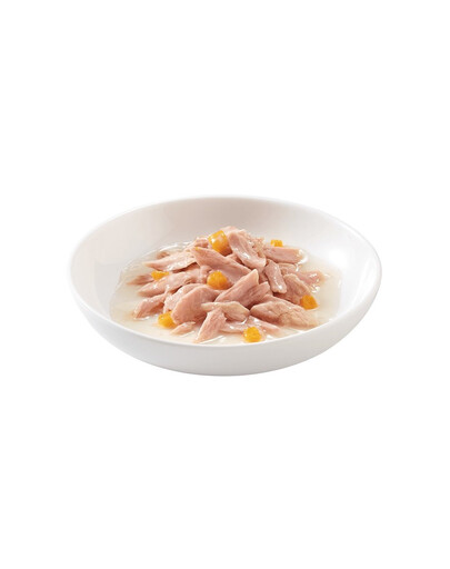 Schesir tunas su moliūgu 70 g