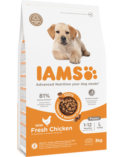 Iams Proactive Health Puppy & Junior Large Breed Chicken 3 kg