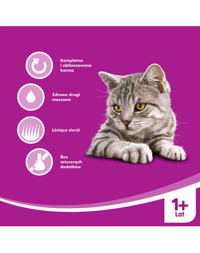 WHISKAS konservēta kaķu barība ar lasi 100 g