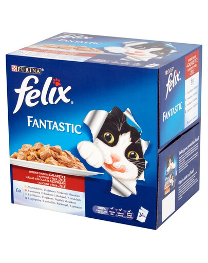 FELIX Fantastic konservai drebučiuose 24 X100 g