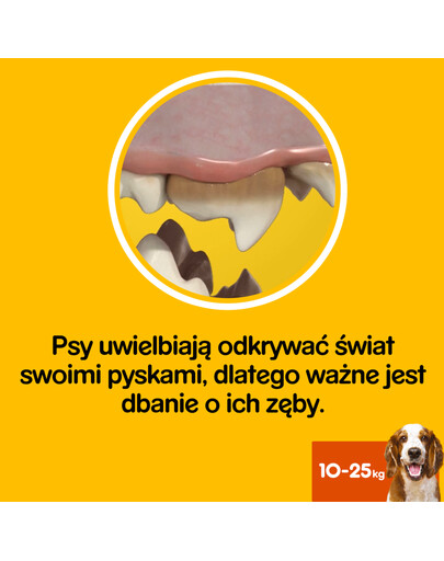 PEDIGREE DentaStix vidēju izmēru šķirņu suņiem 8 X180 g