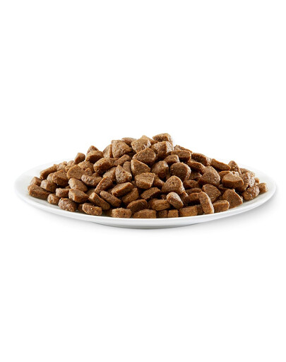 APPLAWS Cat Kitten Chicken 400g ar vistas gaļu