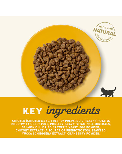APPLAWS Cat Kitten Chicken 400g ar vistas gaļu