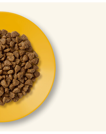 APPLAWS Cat Kitten Chicken 400g ar vistas gaļu