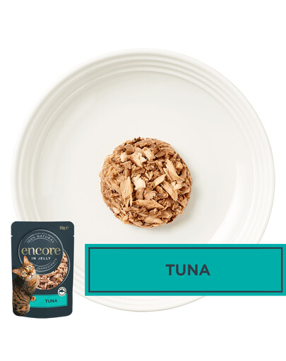 ENCORE Cat Multipak zivju garšu maisījums želejā kaķiem 20x50g