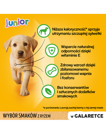 PEDIGREE konservai šuniukams su jautiena, vištiena, ėriena ir paukštiena 12x100g
