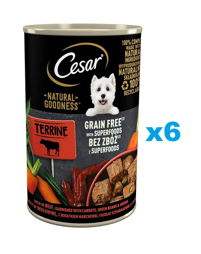 CESAR Natural Goodness in Terrine 6x400 g ar liellopa gaļas piedevu, burkāniem, zaļajām pupiņām un garšaugiem