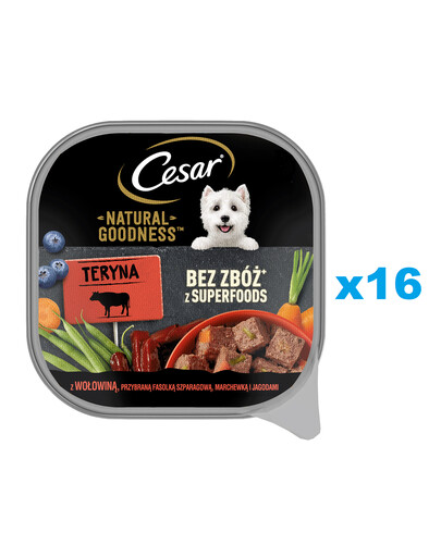 CESAR Natural Goodness Mousse paplāte 16x100g mitrā pilnvērtīga barība pieaugušiem suņiem ar liellopu gaļu, garnētām pupiņām, burkāniem un ogām