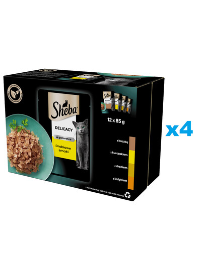 SHEBA Delicacy Poultry Flavour Sachets 48x85g mitrā pilnvērtīga barība pieaugušiem kaķiem želejveida gabaliņos ar: pīles, vistas, mājputnu, tītara gaļu