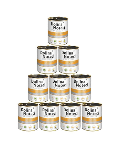 DOLINA NOTECI Premium Bogata W Kaczkę Z Dynią 10x800 g