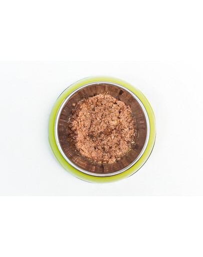 ARUBA Cat Organic Gęś i wołowina z brokułami i topinamburem 70 g