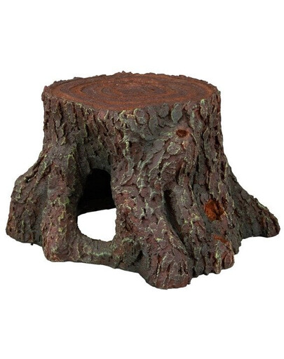 Pień 16 cm