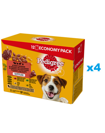 PEDIGREE Adult Garnešu izvēle 48x100g maisiņi ar pilnvērtīgu barību pieaugušiem suņiem želejā ar liellopu gaļu, vistu, jēru, mājputnu gaļu