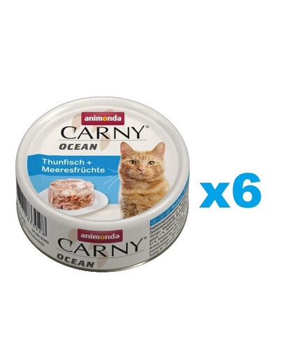 Carny ocean tuńczyk i owoce morza 0.08 kg