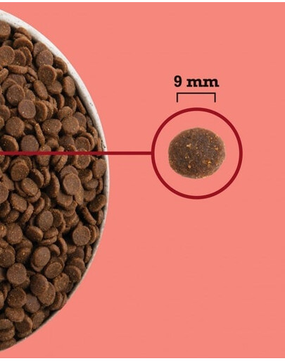 Highest Protein Indoor Cat 1,8 kg