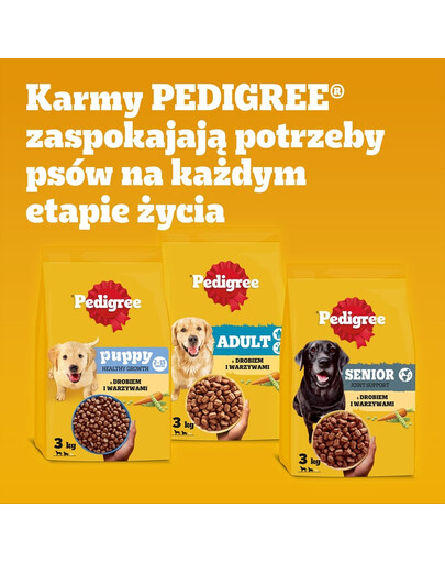 PEDIGREE Professional Nutrition Adult Maxi z Drobiem i Warzywami 12 kg dla psów ras dużych