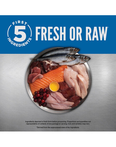 ORIJEN Original Dog 6 kg