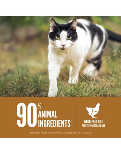 ORIJEN Cat & Kitten 340 g