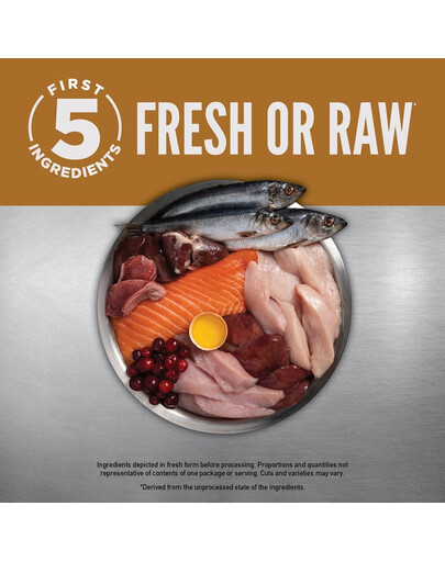 ORIJEN Cat & Kitten 340 g