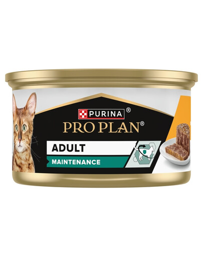 PRO PLAN Adult Maintenance Wilgotny pasztet z kurczakiem 85g mokra karma dla kotów