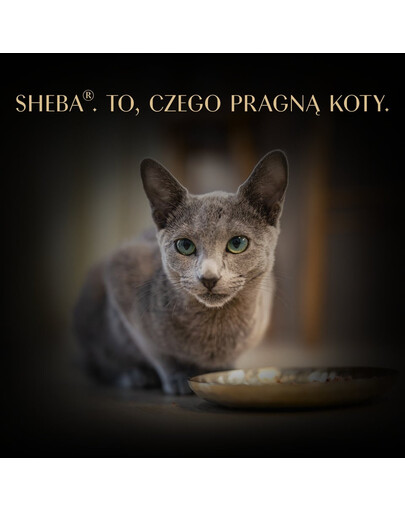 SHEBA Filets z kurczakiem i tuńczykiem w sosie 60 g mokra karma dla kotów