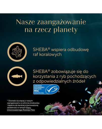 SHEBA Filets z kurczakiem i tuńczykiem w sosie 60 g mokra karma dla kotów