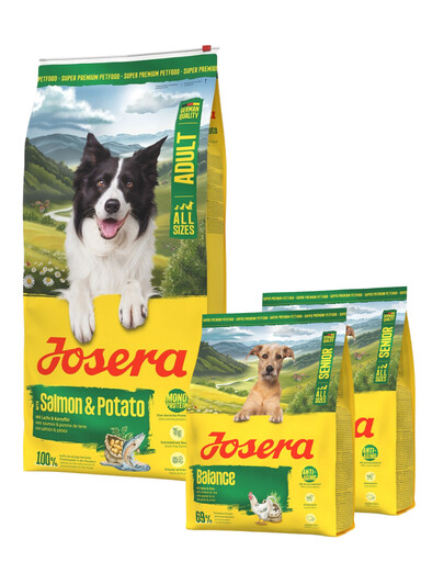 JOSERA Salmon and Potato Adult 12,5kg bezzbożowa karma dla psów z wrażliwym żołądkiem + 2x900g karmy GRATIS