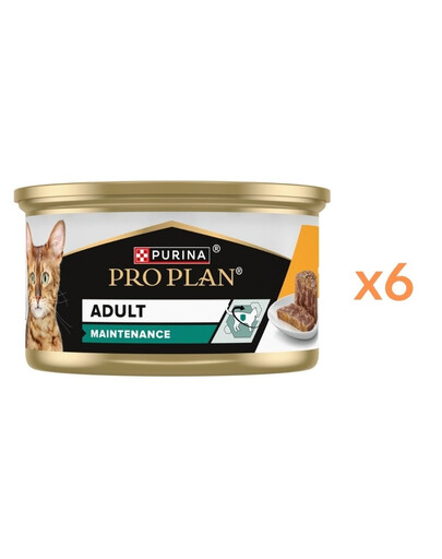 PURINA PRO PLAN Adult Maintenance Wilgotny pasztet z kurczakiem 6x85g mokra karma dla kotów