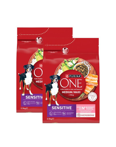 PURINA ONE Medium Maxi Adult Sensitive Salmon and Rice 2x2,5 kg z łososiem i ryżem, sucha karma dla średnich i dużych psów o wrażliwym układzie pokarmowym