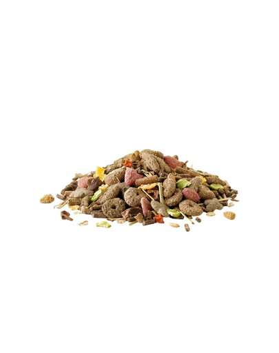 VERSELE-LAGA Crispy Muesli Rabbit 20 kg pokarm dla królików miniaturowych