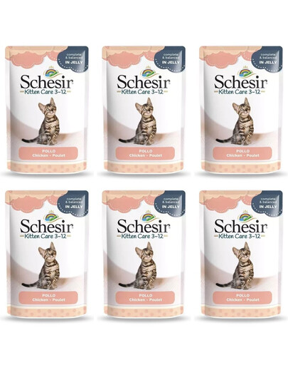 SCHESIR Filety z kurczaka dla kociąt 6x85 g