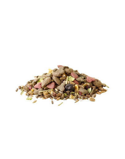 VERSELE-LAGA Crispy Muesli Guinea Pig 2,5 kg pokarm dla świnek morskich