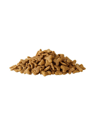 VERSELE-LAGA Crispy Extruded Pellets Ferret 10 kg karma w formie pelletu dla fretek