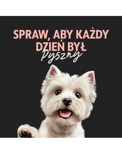 CESAR Teryna z Warzywami 300 g z mokra karma dla psa z cielęciną i marchewką
