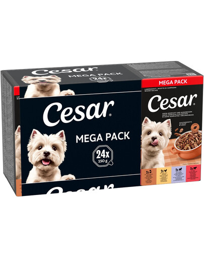 CESAR Wiejski Gulasz Mix Smaków 24 x 150g mokra karma dla dorosłych psów
