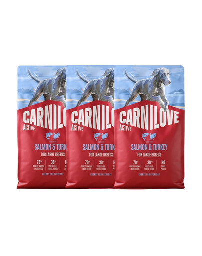 CARNILOVE Active Dog Salmon & Turkey Adult Large Breeds 3x4 kg łosoś i indyk, dla dorosłych psów dużych ras