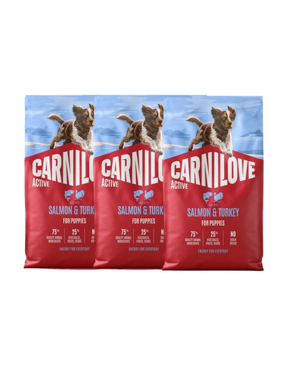 CARNILOVE Active Dog Salmon & Turkey Puppies 3x4 kg łosoś i indyk, dla dorastających szczeniąt