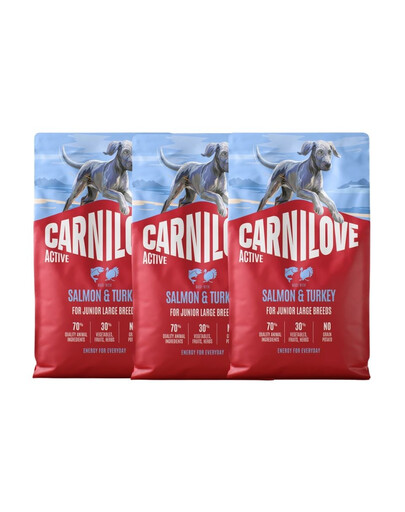 CARNILOVE Active Dog Salmon & Turkey 3x4 kg Junior Large Breeds łosoś i indyk, dla dorastających juniorów ras dużych