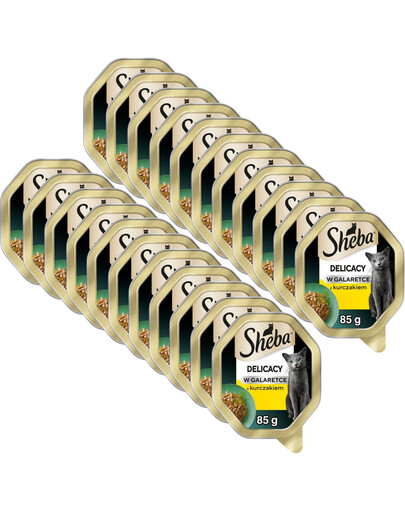 SHEBA Delicacy z kurczakiem w galaretce 22x85 g mokra karma dla kotów