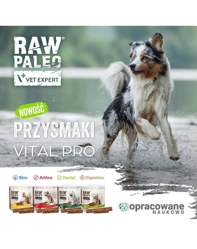 RAW PALEO Vital Pro Arthro Beef Medium Large 100g funkcjonalny przysmak na stawy dla psów ras średnich i dużych