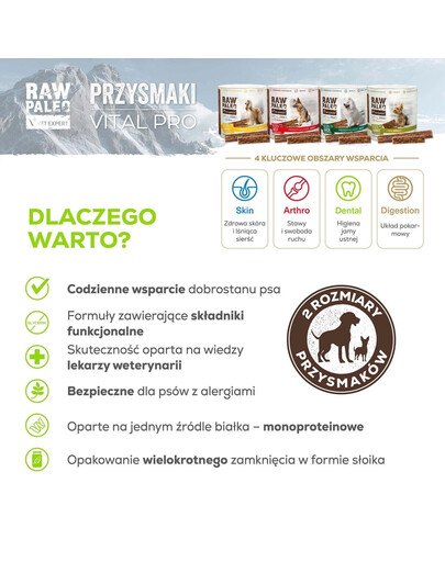 RAW PALEO Vital Pro Dental Duck Mini 100g monoproteinowy przysmak funkcjonalny dla psów