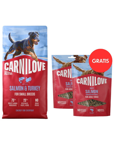 CARNILOVE Active Dog Salmon & Turkey Adult Small Breeds 12 kg łosoś i indyk dla psów małych ras + CARNILOVE Dog Soft Snack Salmon Small Bite 2x200g GRATIS