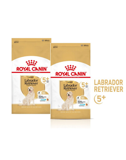 ROYAL CANIN Labrador Retriever Adult 5+ 2x12 kg karma sucha dla dojrzałych psów rasy Labrador retriever, powyżej 5 roku życia