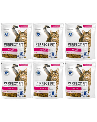 PERFECT FIT Adult 1+ 6x750 g sucha karma pełnoporcjowa dla dorosłych kotów bogata w świeżego łososia