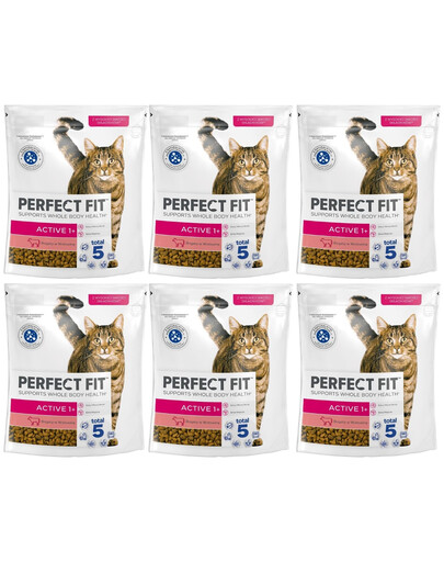 PERFECT FIT Active 1+ 6x750 g sucha karma pełnoporcjowa dla dorosłych kotów bogata w wołowinę