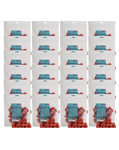 CHRUP&GO Mini kość wiązana z piersią kaczki 24x500 g przysmak dla psa