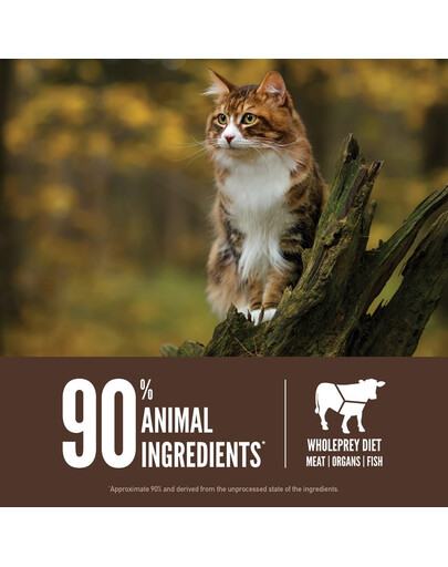 ORIJEN Regional Red Cat 5.4 kg